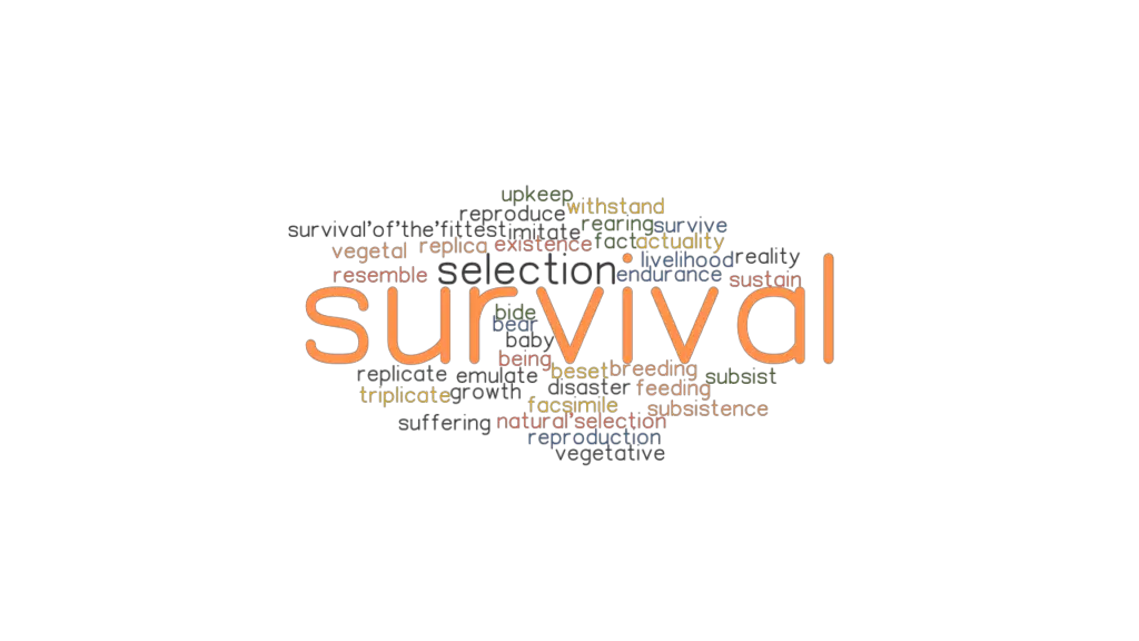 SURVIVAL Synonyms And Related Words What Is Another Word For SURVIVAL 