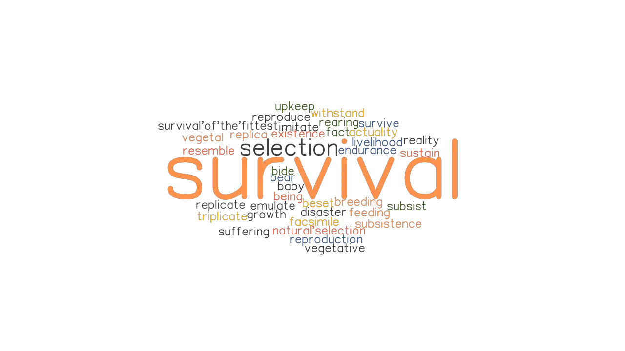 SURVIVAL Synonyms And Related Words What Is Another Word For SURVIVAL 