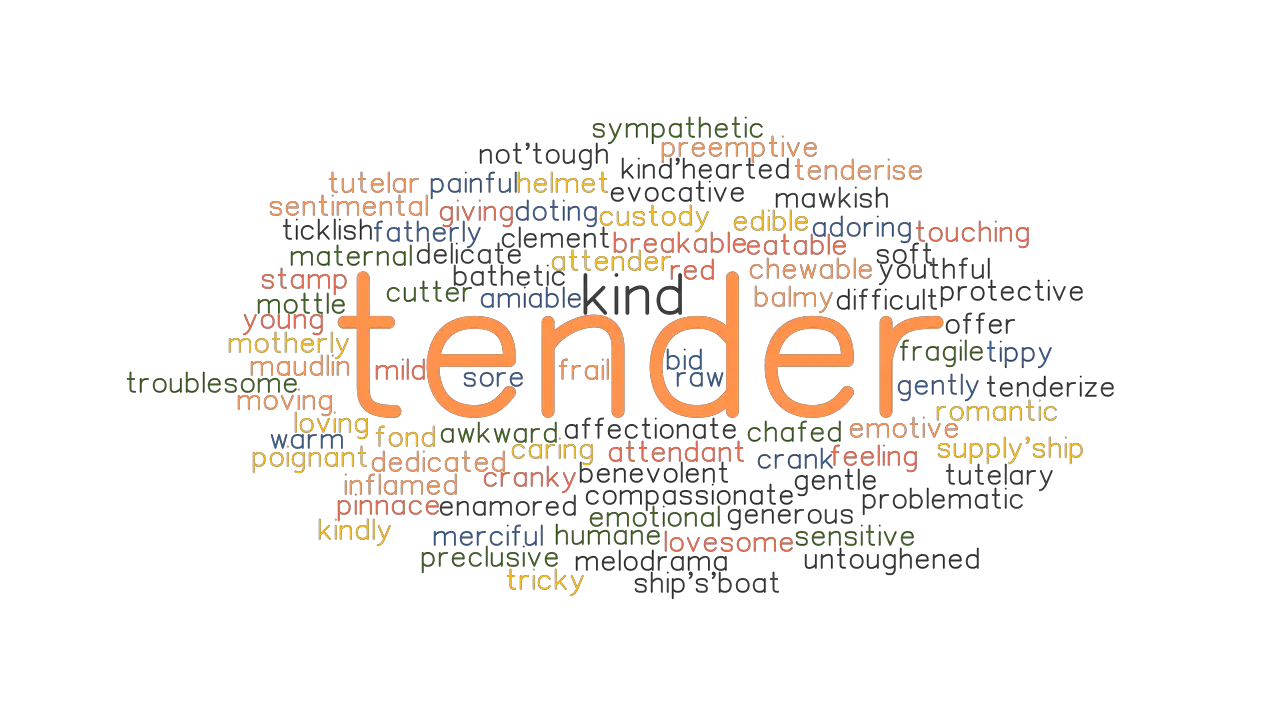 TENDER Synonyms And Related Words What Is Another Word For TENDER 