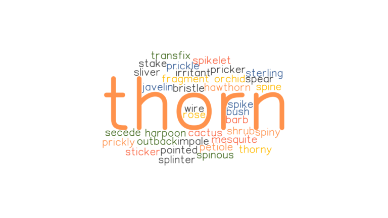 thorn-synonyms-and-related-words-what-is-another-word-for-thorn