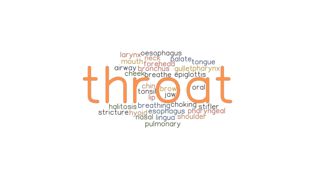 throat-synonyms-and-related-words-what-is-another-word-for-throat