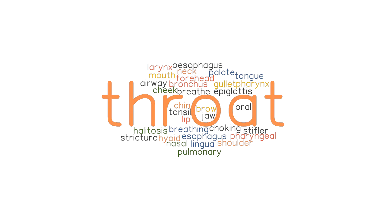 THROAT Synonyms And Related Words What Is Another Word For THROAT GrammarTOP