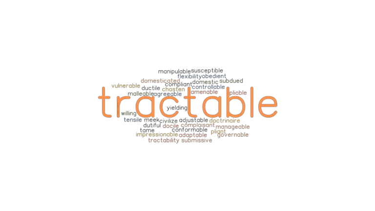 tractable-synonyms-and-related-words-what-is-another-word-for