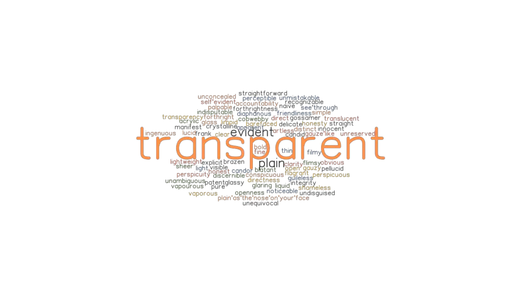 What Is Another Word For Transparent Person