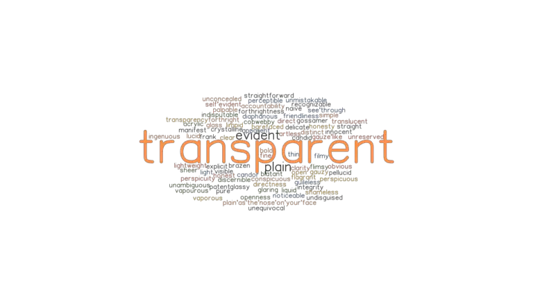 Another Word For Transparent Panel