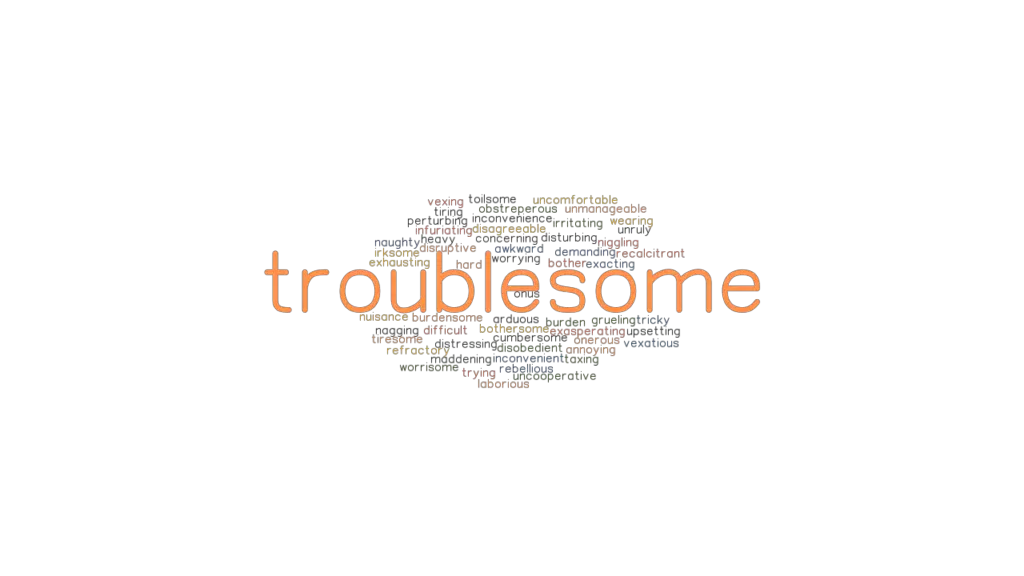 Another Word For Troublesome Person