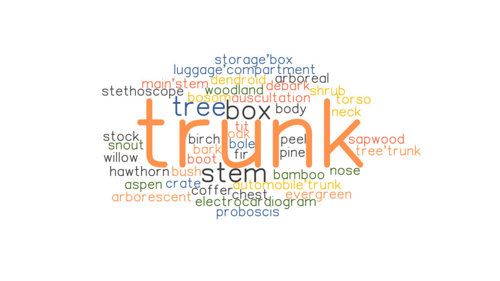 trunk-synonyms-and-related-words-what-is-another-word-for-trunk