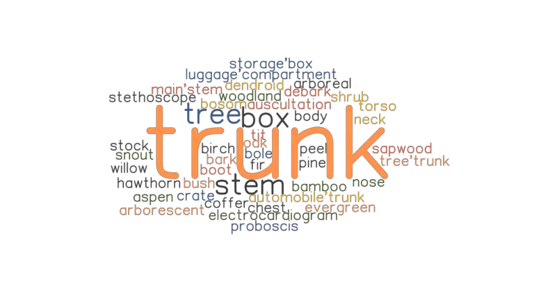 trunk-synonyms-and-related-words-what-is-another-word-for-trunk