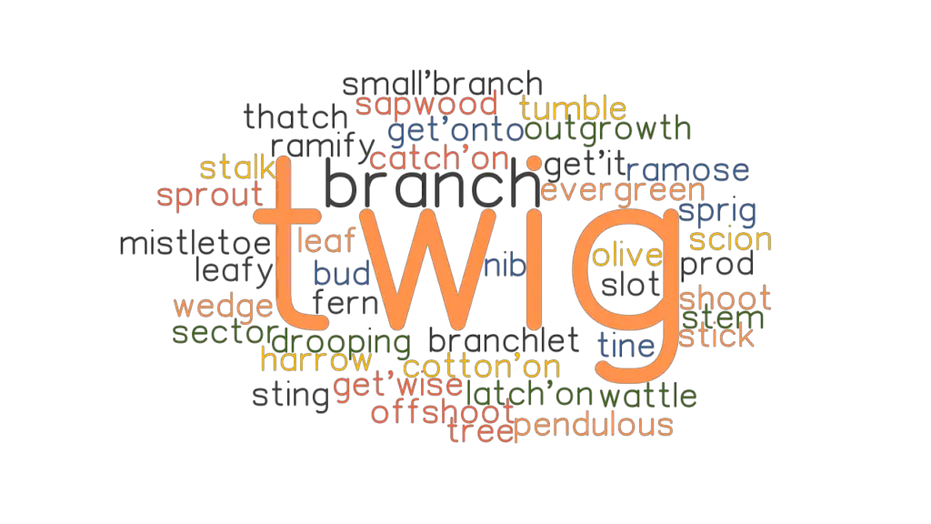 twig-synonyms-and-related-words-what-is-another-word-for-twig