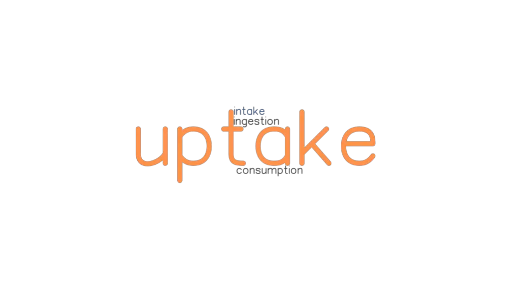 uptake-synonyms-and-related-words-what-is-another-word-for-uptake