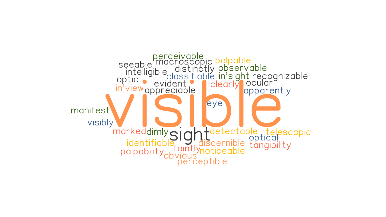 VISIBLE Synonyms And Related Words What Is Another Word For VISIBLE 