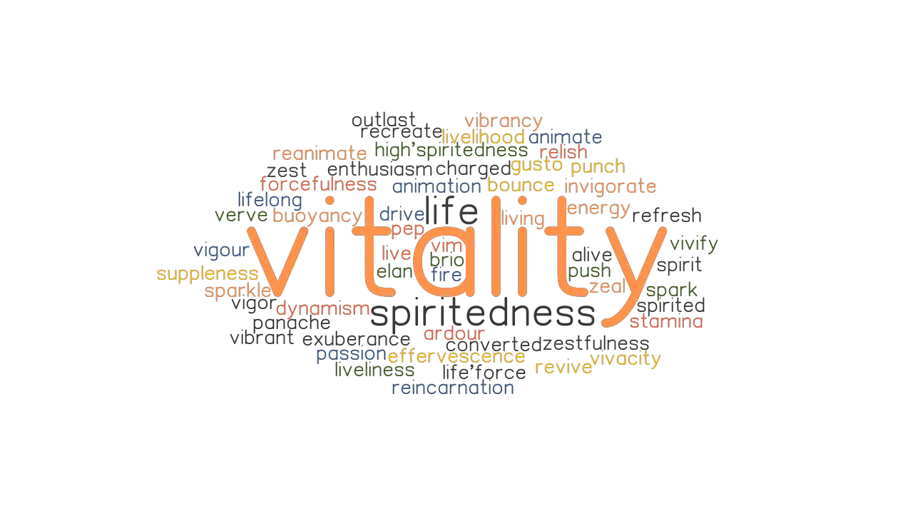 VITALITY Synonyms And Related Words What Is Another Word For VITALITY 