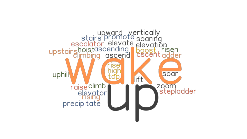 WAKE UP Synonyms And Related Words What Is Another Word For WAKE UP 