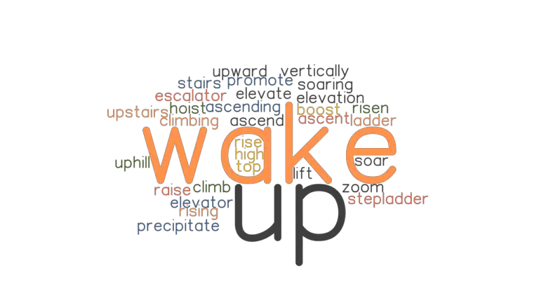 What Is Another Word For Wake Up