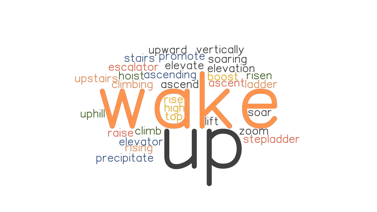 WAKE UP Synonyms And Related Words What Is Another Word For WAKE UP 