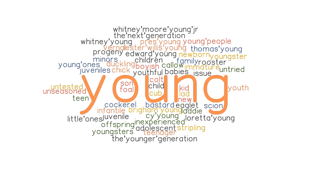 YOUNG Synonyms And Related Words What Is Another Word For YOUNG 