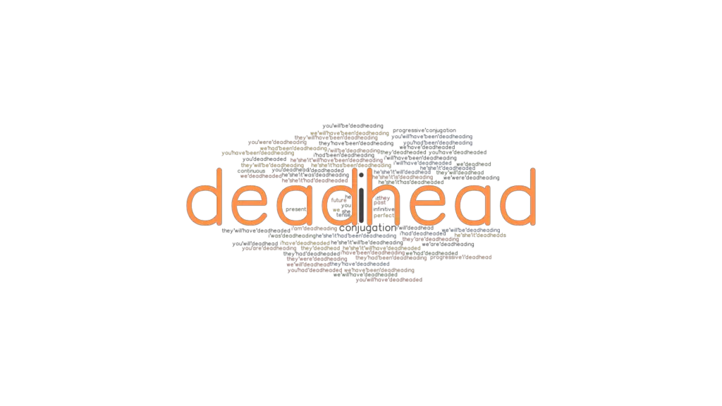 Deadhead Past Tense Verb Forms, Conjugate DEADHEAD