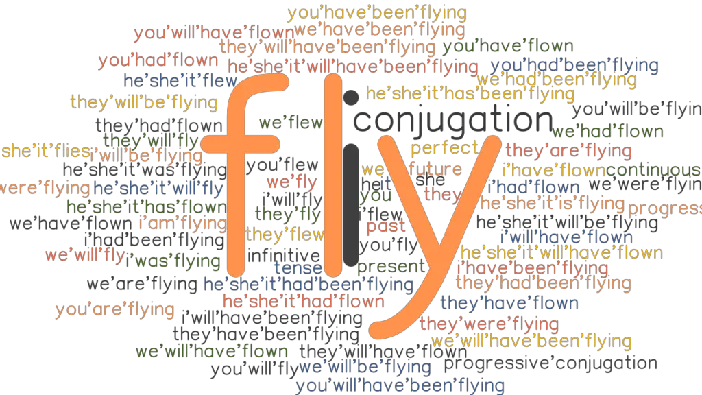 what is the perfect past tense of fly