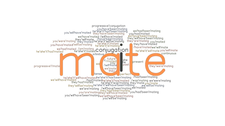 mate-past-tense-verb-forms-conjugate-mate-grammartop