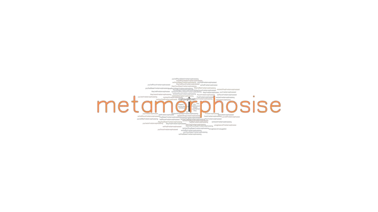 Metamorphosise Past Tense: Verb Forms, Conjugate METAMORPHOSISE ...