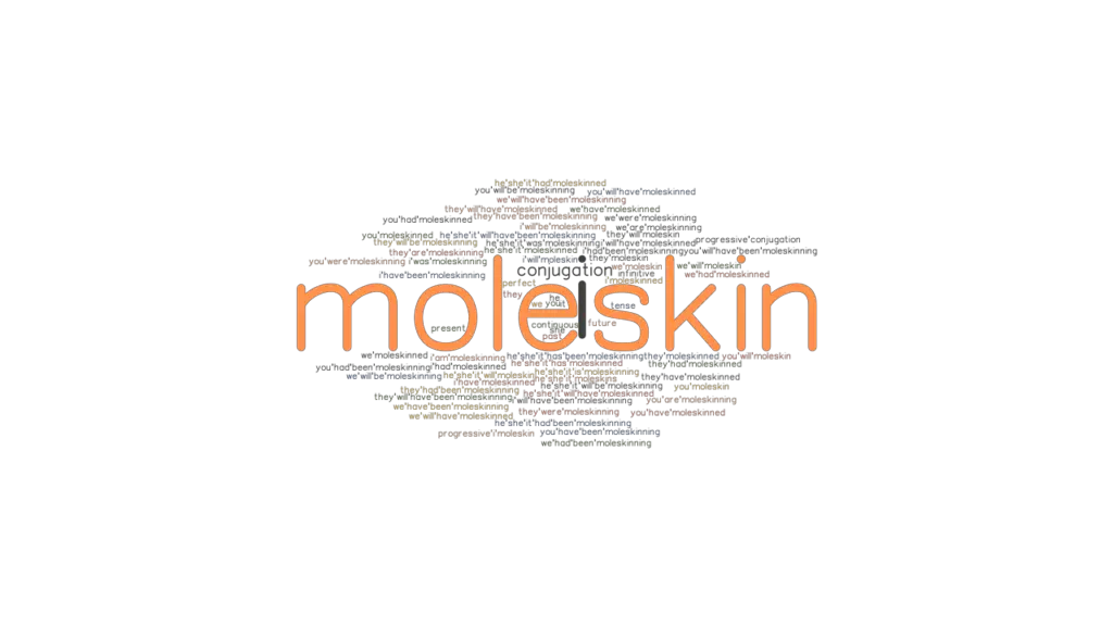 Moleskin Past Tense Verb Forms, Conjugate MOLESKIN