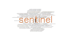 Sentinel Past Tense: Verb Forms, Conjugate SENTINEL - GrammarTOP.com