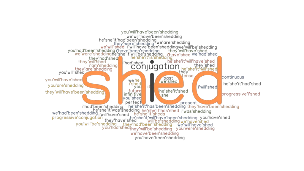 shed-past-tense-verb-forms-conjugate-shed-grammartop