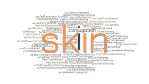 Skin Past Tense: Verb Forms, Conjugate SKIN - GrammarTOP.com