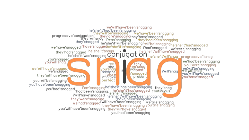 Snag Past Tense Verb Forms, Conjugate SNAG