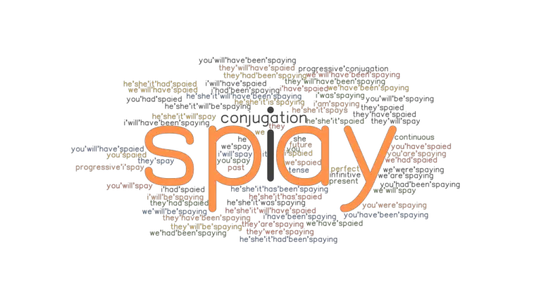 Spay Past Tense: Verb Forms, Conjugate SPAY - GrammarTOP.com